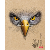 Тетрадь А5 96л клетка "Взгляд" на скобе крафт 5 дизайнов 96Т5В1/064479 от магазина "Карандаш"