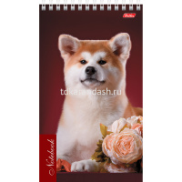 Блокнот А5 60л "Щенки" линия, на спирали, жесткая подложка, пластиковая обложка, 2 дизайна 050652 от магазина "Карандаш"