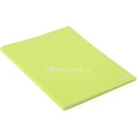 Папка 60 вкладышей "Rio" А4 полипропилен 0,30мм салатовая EB00602 от магазина "Карандаш"