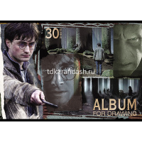 Альбом для рисования А4 30л "Гарри Поттер" на скобе 5 дизайнов 30А4В/062243 от магазина "Карандаш"
