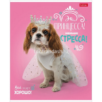 Тетрадь А5 48л клетка "ДоброЛапки. Выпуск №2" на скобе матовая ламинация 5 дизайнов 072108 от магазина "Карандаш"