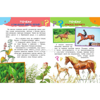 Энциклопедия "100 тысяч почему" 256стр. (Альтшулер В.С.) 978-5-17-106181-4 от магазина "Карандаш"