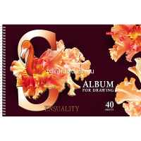 Альбом для рисования А4 40л "Beautiful birds" на спирали, перфорация на отрыв, 5 дизайнов 058396 от магазина "Карандаш"