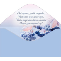 Конверт для денег "С Новым годом!" 168х84мм 78.535 от магазина "Карандаш"