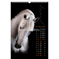 Календарь 2026 "Год Лошади. Портреты" 30х45см настенный перекидной, на гребне, с ригелем 091855 от магазина "Карандаш"
