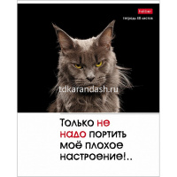 Тетрадь А5 48л клетка "Котоюмор" на скобе 5 дизайнов 079790 от магазина "Карандаш"