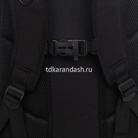 Рюкзак 28х39х20см, 830гр, 2 отделения, 4 кармана, с брелком, черный/розовый "Панда" RG-568-5/3 от магазина "Карандаш"