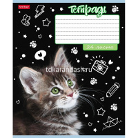 Тетрадь А5 24л линия "Ушки на макушке" на скобе тиснение 5 дизайнов 24Т5В2/080104 от магазина "Карандаш"