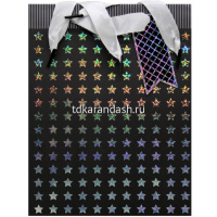 Пакет подарочный "Индиго" 26х32х12см 4 вида ZH2023 от магазина "Карандаш"