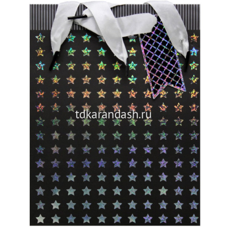 Пакет подарочный "Индиго" 26х32х12см 4 вида ZH2023 от магазина "Карандаш"