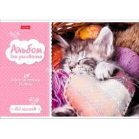 Альбом для рисования А4 20л "Котята" на скобе 5 дизайнов 20А4В/004023 от магазина "Карандаш"
