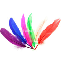 Набор перьев 10шт/уп., размер пера 17-19см, 10 цветов Y10855-24 от магазина "Карандаш"