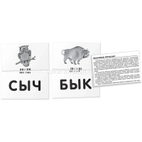 Набор карточек. Жук. Читаем слова-слоги 48стр. Штец А. А. 4627176367308 от магазина "Карандаш"