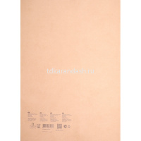 Бумага д/эскизов А3 20л 200г/м2 крафт  "Паллацо" БЭП3/20 от магазина "Карандаш"