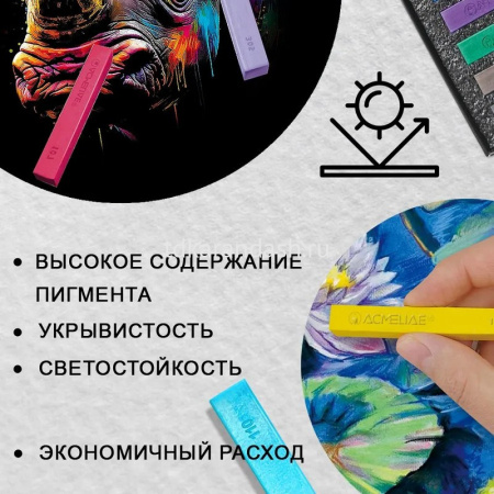 Пастель 12 цветов "Acmeliae" мягкая, прямоугольная, картон SPC-12 от магазина "Карандаш"