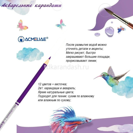 Карандаши акварельные 24 цвета "Acmeliae" с кисточкой круглые дерево, картон 9401-24 от магазина "Карандаш"