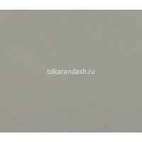 Бумага для пастели 70х100см 160г/м2 холодная серая 15011583 от магазина "Карандаш"