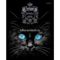 Тетрадь А5 48л клетка "Royal Cats" на скобе 3D фольга 3D лак матовая ламинация 5 дизайнов 066595 от магазина "Карандаш"