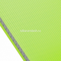 Блокнот А5 80л "Line neon. Зеленый" клетка, на спирали, пластиковая обложка 081503 от магазина "Карандаш"