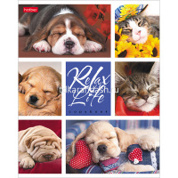 Тетрадь А5 24л клетка "Relax Life" на скобе 24Т5В1/046960 от магазина "Карандаш"