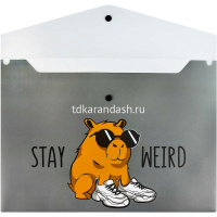 Папка-конверт на кнопке "Чудная капибара" A4 полипропилен, 0,15мм 69303 от магазина "Карандаш"