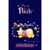 Блокнот А7 48л "Винни и его друзья" клетка, склейка, 3-х цветный блок, 5 дизайнов 48Б7В1к от магазина "Карандаш"