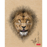 Тетрадь А5 96л клетка "Взгляд" на скобе крафт 5 дизайнов 96Т5В1/064479 от магазина "Карандаш"