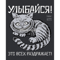 Тетрадь А5 48л клетка "Улыбайся!" на скобе 5 дизайнов 48Т5В1/068770 от магазина "Карандаш"
