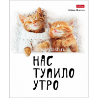 Тетрадь А5 48л клетка "Котоюмор" на скобе 5 дизайнов 079790 от магазина "Карандаш"