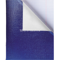 Тетрадь А5 48л клетка синий бумвинил металлик на скобе 48Т5бвВ1/061252 от магазина "Карандаш"