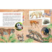 Красная книга мира 280стр. (Пескова И.М.) 0+ 978-5-17-113179-1 от магазина "Карандаш"