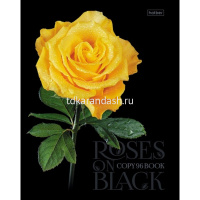 Тетрадь А5 96л клетка "Roses on black" на скобе 3D лак матовая ламинация 5 дизайнов 050510 от магазина "Карандаш"