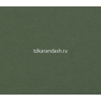 Бумага для пастели А4 160г/м2 виридоновая зеленая (хлопок 45%) 15723145 от магазина "Карандаш"