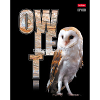 Тетрадь А5 48л клетка "Птица Дивная" на скобе 3D лак матовая ламинация 5 дизайнов 061406 от магазина "Карандаш"