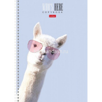 Тетрадь А4 96л клетка "Кто здесь?" на спирали матовая ламинация 4 дизайна 96Т4лВ1гр/066229 от магазина "Карандаш"