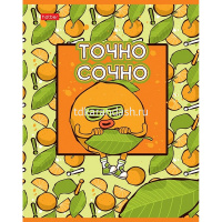 Тетрадь А5 48л клетка "Озорной апельсинчик" на скобе матовая ламинация 5 дизайнов 082845 от магазина "Карандаш"