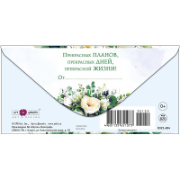 Конверт для денег "В чудесный день" 167х83мм 0321.484 от магазина "Карандаш"