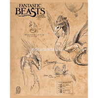 Тетрадь А5 48л клетка "Фантастические твари" на скобе матовая ламинация 5 дизайнов 48Т5лВ1/056233 от магазина "Карандаш"