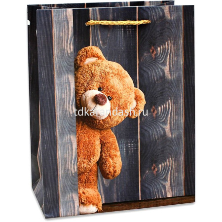 Пакет подарочный "Медведь" 18х23х10см  4 вида Y6821-18 от магазина "Карандаш"