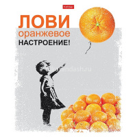 Тетрадь А5 96л клетка "Даёшь апельсин! Выпуск №1" на скобе матовая ламинация 5 дизайнов 083202 от магазина "Карандаш"