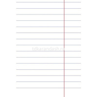 Тетрадь А5 18л линия "Пастель. Голубая" на скобе 18Т5В2_05147/055627 от магазина "Карандаш"