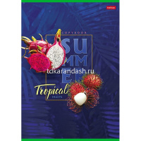Тетрадь А4 80л клетка "Тропическое лето" на скобе 3 дизайна 80Т4В1/066232 от магазина "Карандаш"