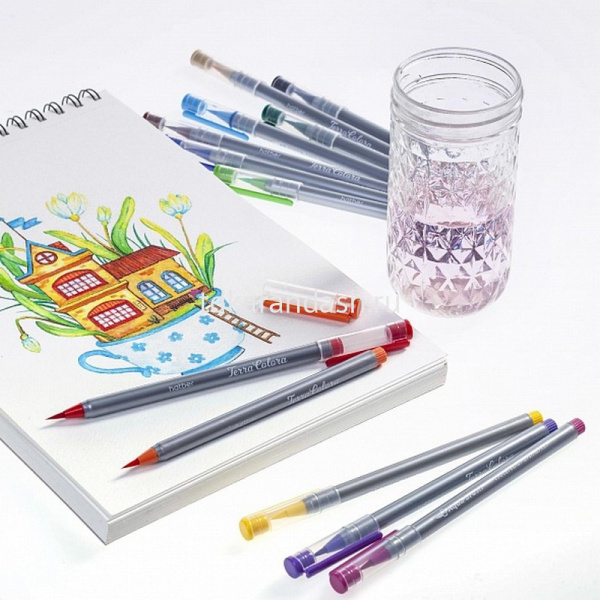 Набор маркеров-кистей акварельных "Terra Colora" 12 цветов, пвх блистер 070327 от магазина "Карандаш"