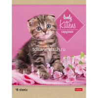 Тетрадь А5 48л линия "Котята" на скобе 5 дизайнов 48Т5В2/047012 от магазина "Карандаш"