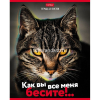 Тетрадь А5 48л клетка "Вы все меня бесите" на скобе 5 дизайнов 48Т5В1/075710 от магазина "Карандаш"