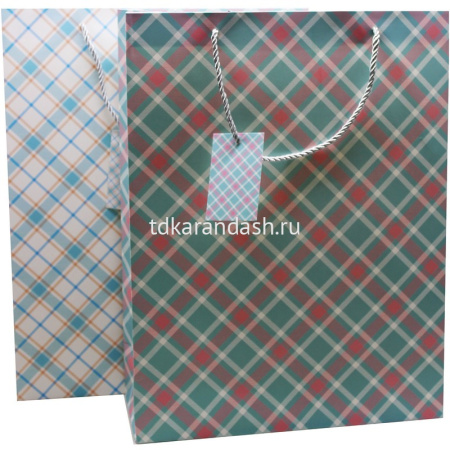 Пакет подарочный "Клеточка" 26х32х10см 3 цвета 11460-24 от магазина "Карандаш"