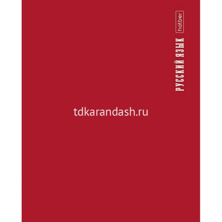 Тетрадь А5 48л линия Русский язык "PROстиль" на скобе пластиковая обложка 085435