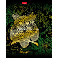 Тетрадь А5 48л клетка "Золотые совушки" на скобе 3D фольга матовая ламинация 5 дизайнов 047156 от магазина "Карандаш"