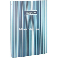 Папка-портфолио универсальное А4 "Фактура полосы" на кольцах 40 файлов пвх, пластик 39282 от магазина "Карандаш"