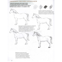 Книга-скетчбук начинающего художника "Создаем наброски лошадей шаг за шагом" 64стр. 978-5-00241-199- от магазина "Карандаш"